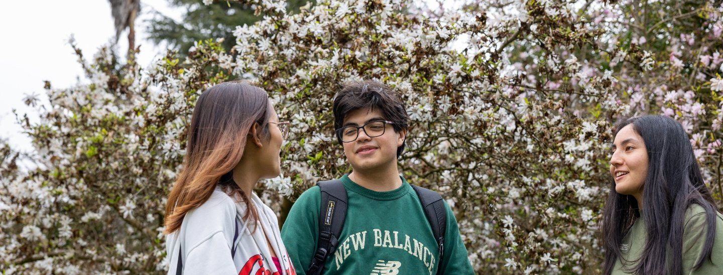 students talking in garden